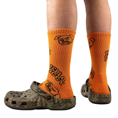 Hello Doggy Sock Orange - Kecks